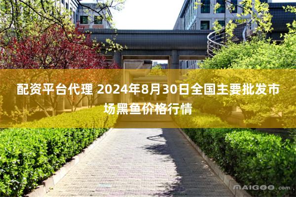 配资平台代理 2024年8月30日全国主要批发市场黑鱼价格行