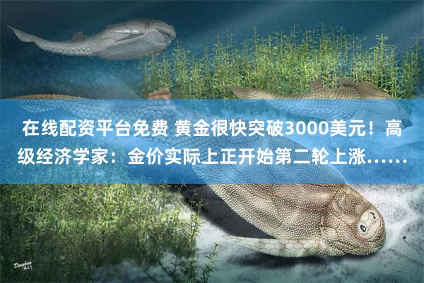 在线配资平台免费 黄金很快突破3000美元！高级经济学家：金