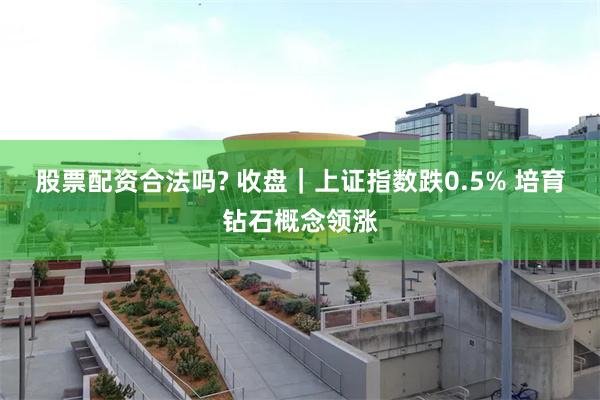 股票配资合法吗? 收盘｜上证指数跌0.5% 培育钻石概念领涨