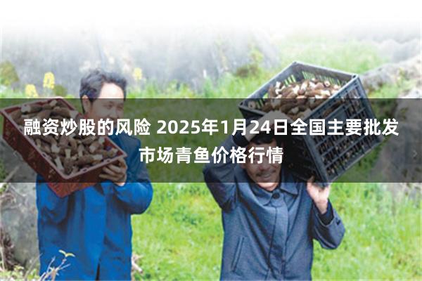 融资炒股的风险 2025年1月24日全国主要批发市场青鱼价格