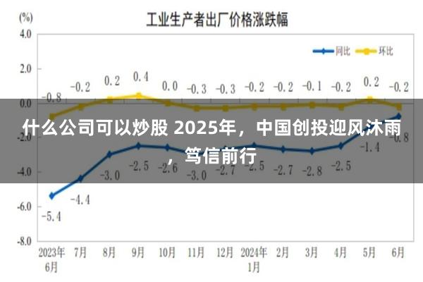 什么公司可以炒股 2025年，中国创投迎风沐雨，笃信前行