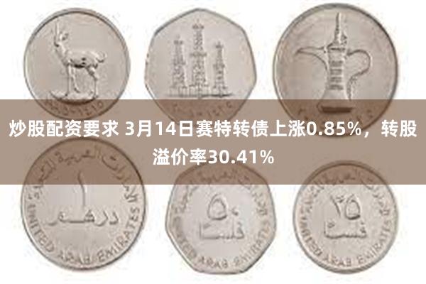 炒股配资要求 3月14日赛特转债上涨0.85%，转股溢价率3